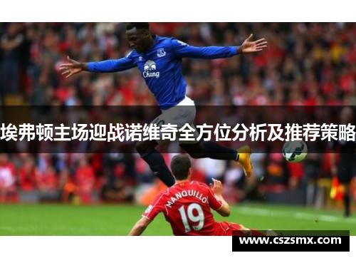 埃弗顿主场迎战诺维奇全方位分析及推荐策略
