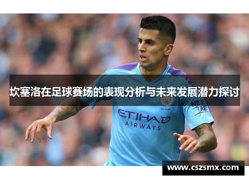 坎塞洛在足球赛场的表现分析与未来发展潜力探讨