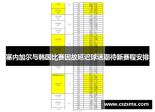 塞内加尔与韩国比赛因故延迟球迷期待新赛程安排