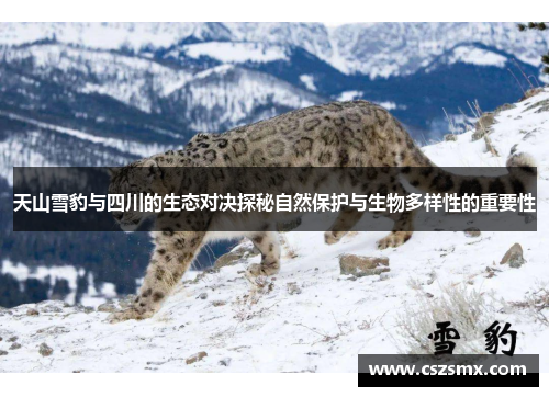 天山雪豹与四川的生态对决探秘自然保护与生物多样性的重要性