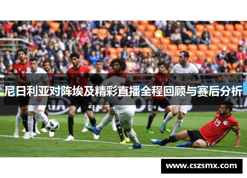 尼日利亚对阵埃及精彩直播全程回顾与赛后分析