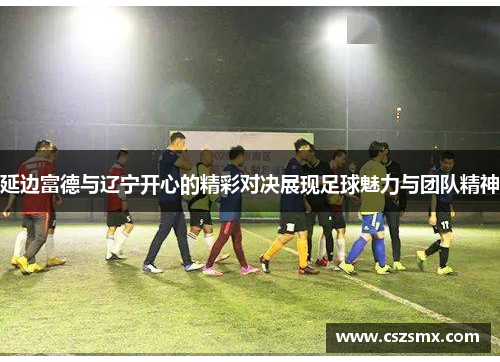 延边富德与辽宁开心的精彩对决展现足球魅力与团队精神