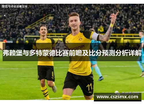 弗赖堡与多特蒙德比赛前瞻及比分预测分析详解
